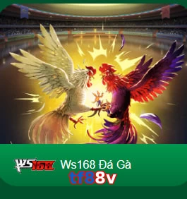 tf88v